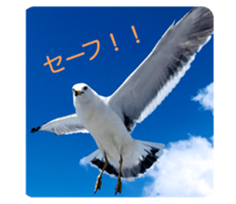 413776550