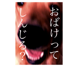414001252