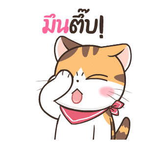 สอยดาวไงจะใครล่ะ 5 รูปที่ 13