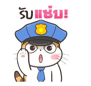 สอยดาวไงจะใครล่ะ 5 รูปที่ 15