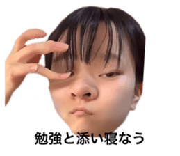 414050982