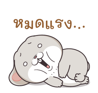 กระต่ายจอมป่วน : ก็ชั้นมันน่ารัก รูปที่ 8
