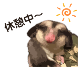 414256194