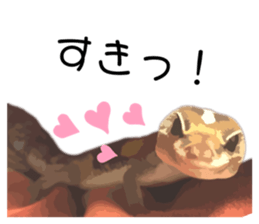 414256205