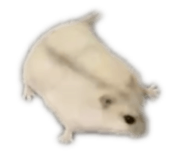 414297349