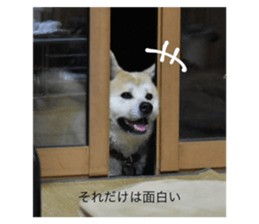414501646