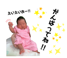 415041713