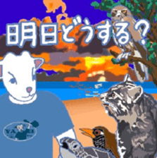 415146443