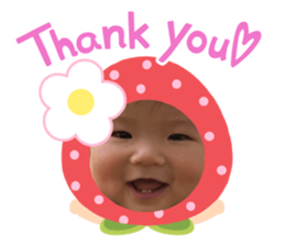 415408646