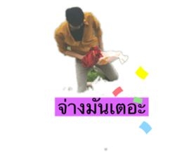 415644066