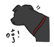 415644186