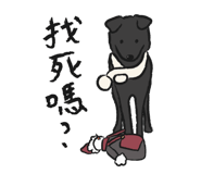 415644189