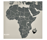 415687835