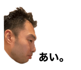 415691510