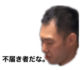 415691512