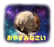 415769939