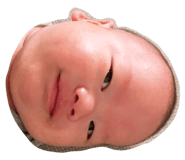 415872237