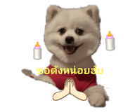 415873088
