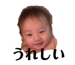 415882584