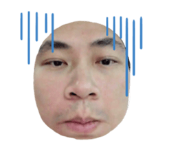 415919295