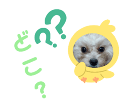 415937959