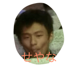 415954406