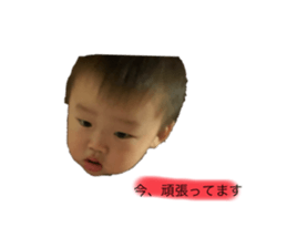 415960599