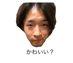 415960602