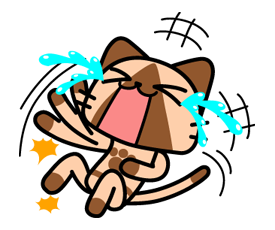 AIROU รูปที่ 8