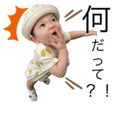 416046817