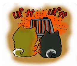 4161693