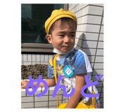 416291527
