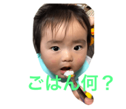 416291530