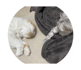 416484670