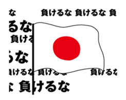 416512023