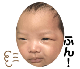 416558356