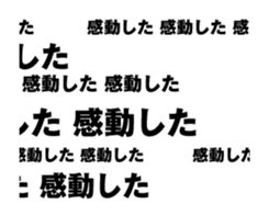 416638558