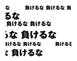 416638559