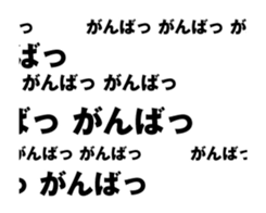 416638567