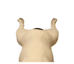416660696