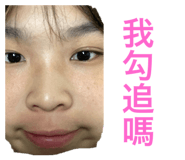 416728658