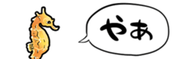 416788890