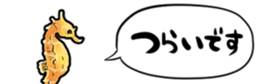 416788893