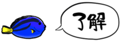 416792784