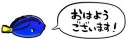416792791