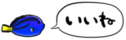 416792796