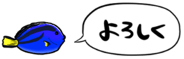 416792798