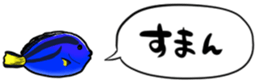 416792804