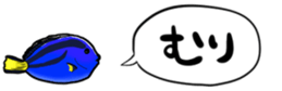 416792806