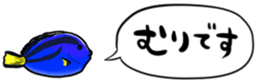 416792807
